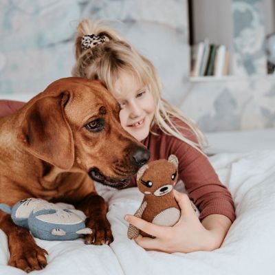 Thumbnail 4: HUNTER Hundespielzeug Fyn Bär 20 cm