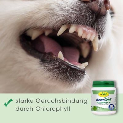 Thumbnail 7: dentaVet Atemfrisch 40 g – Natürliche Unterstützung bei Maulgeruch für Hunde
