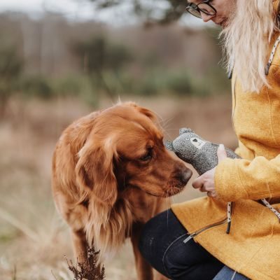 Thumbnail 3: HUNTER Hundespielzeug Billund Bär, 23 cm
