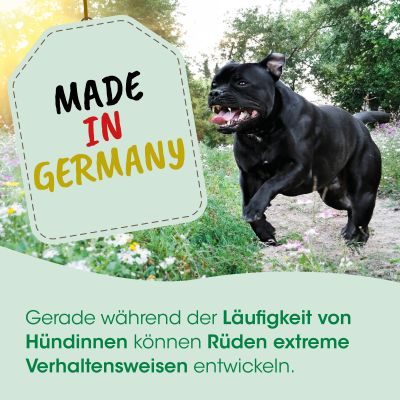 Thumbnail 2: cdVet TriebRegulat 120 g – Natürliche Fütterung in hormonellen Phasen bei Rüden