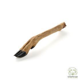 kauartikel.com Reh-Unterbein mit Fell - hypoallergener Hunde-Kauartikel - Hunde-Snack - Wild-Kausnack - Leckerli