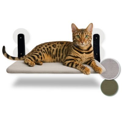 PIUPET Katzenfensterliege I Klappbare Katzenliege mit Saugnäpfen I Wendbare Hängematte für Fenster I bis 20 kg