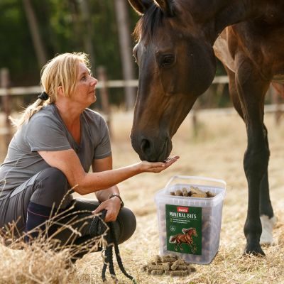 Thumbnail 2: PANTO PANTO Mineral Bits 16mm