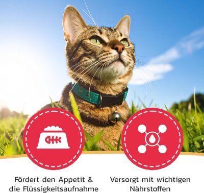 Thumbnail 4: LiquidoCare Appetitanreger für die Katze