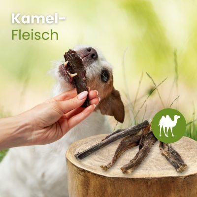 Thumbnail 2: kauartikel.com Kamel-Fleisch - hypoallergener Hunde-Kauartikel - Hunde-Snack - Kausnack - Leckerli