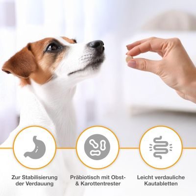 Thumbnail 4: alfavet Dia Tab zur Regulierung der Verdauung & Darmflora – Kautabletten mit Präbiotika für Hunde und Katzen 20 x 5,5 g
