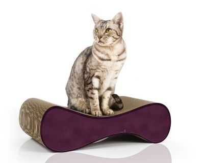 Thumbnail 3: cat-on LE VER S Kratzwelle für Katzen, violett (070)