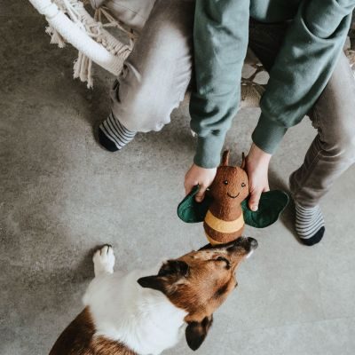 Thumbnail 10: HUNTER Hundespielzeug Florenz, Biene 29 cm