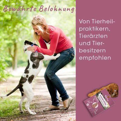 Thumbnail 6: Fit-Hap Kauwurzel S (5 St.) – Natürliches Kauspielzeug aus Hartholz für Hunde