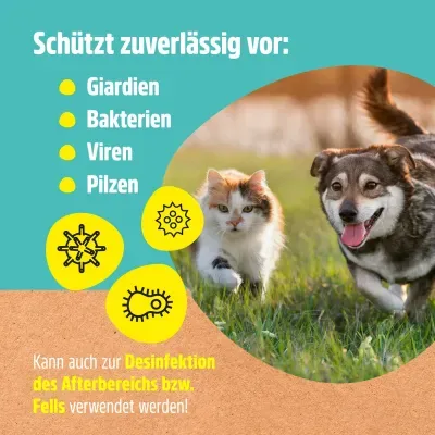 Thumbnail 2: Greenhero Giardien-Ex Spray gegen Giardien, Bakterien, Viren und Pilze