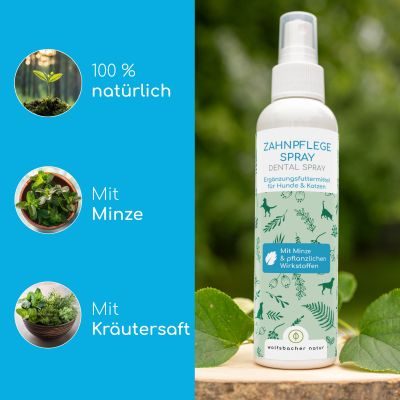 Thumbnail 6: Wolfsbacher Natur Dentalspray - Zahnpflege Spray mit Bio Minze