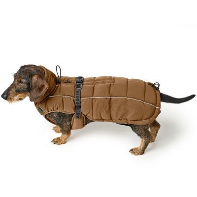 Thumbnail 4: HUNTER Hundemantel Paxson Dachshund 40, karamell