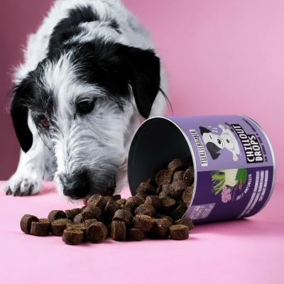 Thumbnail 2: Tierliebhaber Chillout Drops für Hunde - Natürliche Beruhigungshilfe bei Unruhe, Nervosität & Angst