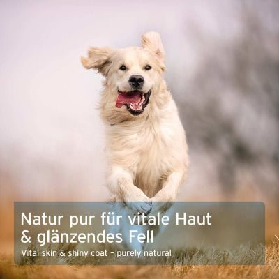 Thumbnail 3: AniForte Fellharmonie Vitalpulver