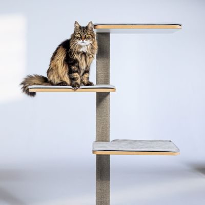 Thumbnail 3: stylecats® Kratzbaum Clu 3 Liegeflächen hellgrau mit Kratzfläche Cozy hellgrau, 145 cm