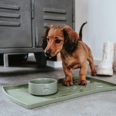 Thumbnail 1: HUNTER Napfunterlage Selection 48 x 30 cm, khaki