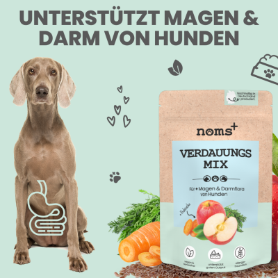 Thumbnail 4: Noms+ Verdauungsmix für Hunde & Katzen als Probiotikum für Magen- & Darmflora