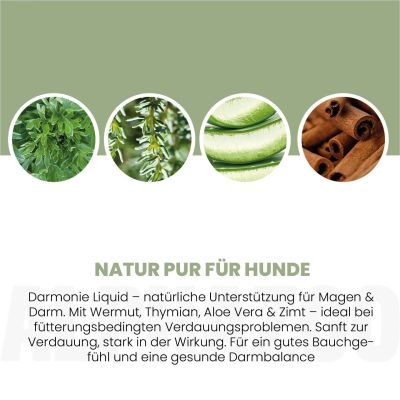 Thumbnail 4: ALPHAZOO Darmonie Liquid für Hunde