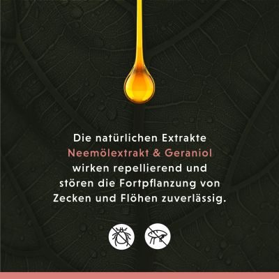 Thumbnail 2: annimally Anti Ecto Zecken- & Floh-Shampoo