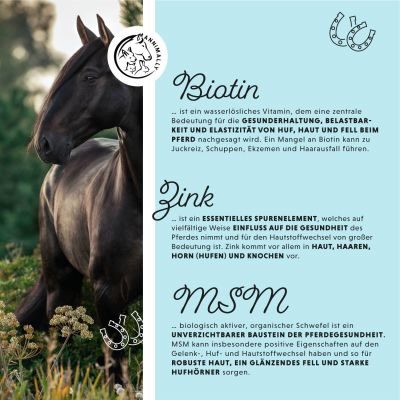 Thumbnail 4: annimally Biotin Liquid