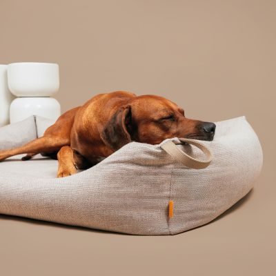 Thumbnail 6: Rudelkönig Rudelkönig Hundebett Koye, Orthopädisches Hundebett mit Druckentlastung