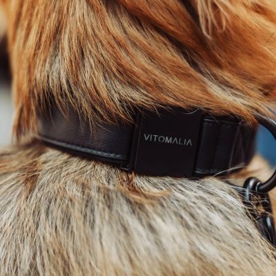 Thumbnail 5: Vitomalia VitomaliaPiñatex Luxus-Hundehalsband aus nachhaltiges Ananas-Leder in Schwarz
