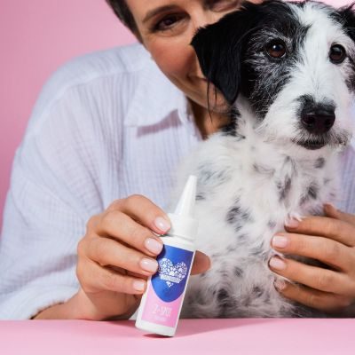 Thumbnail 4: Tierliebhaber Z-Spot für Hunde - Gegen Zecken & Flöhe