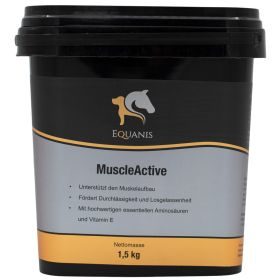 Equanis MuscleActive - Muskelaufbau Pferd