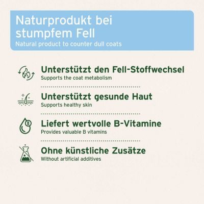 Thumbnail 6: AniForte Bierhefe Tabs