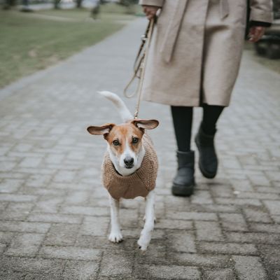 Thumbnail 6: HUNTER Hundepullover Malmö 40, beige