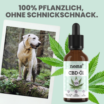 Thumbnail 5: Noms+ 10% CBD Tropfen für Hunde