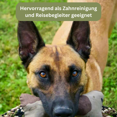 Thumbnail 3: Bettenhaus Traumhund® Traumhund® Kordelknochen