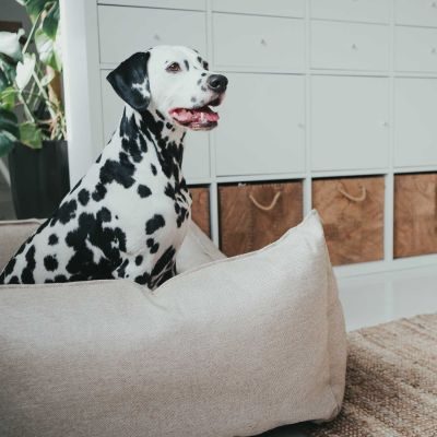 Thumbnail 7: HUNTER Hundesofa Livingston L (100 x 75 cm), beige