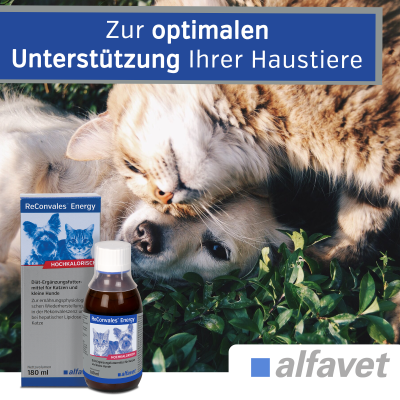 Thumbnail 5: alfavet ReConvales Energy 180 ml