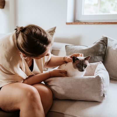 Thumbnail 7: stylecats® Katzenbett Dreamie S (40 x 40 cm), beige