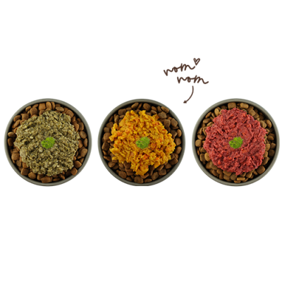 Thumbnail 3: bosch Tiernahrung Freshe Schnauze Gemuese Ergänzungsfutter – BARF – 1,2kg