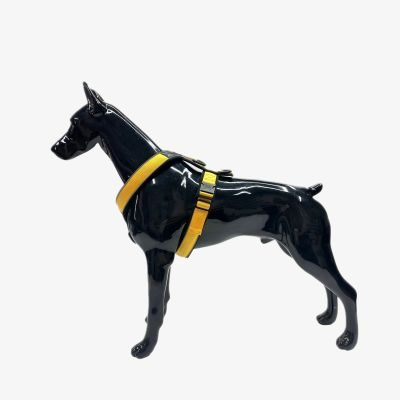 Thumbnail 5: Vitomalia Leichtes Y-Hundegeschirr mit Reflextionsstreifen in Gelb