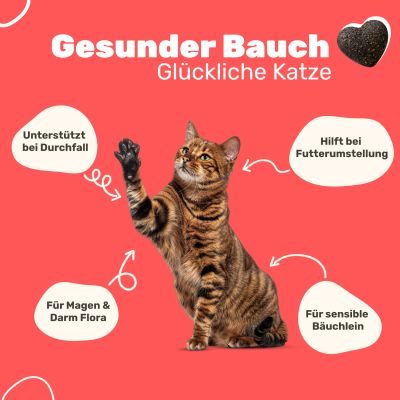 Thumbnail 3: Patsli Katze hat Durchfall? Präbiotische Snacks für gesunde Darmflora