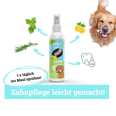Thumbnail 3: BeG Buddy Dentalspray Hund Zahnpflege zahnweiß 150 ml