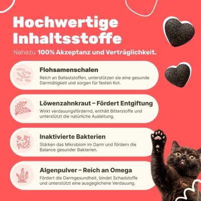 Thumbnail 5: Patsli Katze hat Durchfall? Präbiotische Snacks für gesunde Darmflora