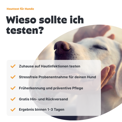 Thumbnail 6: Pezz Hunde Hauttest | Zuhause auf Hautmilben, Hefepilze und Bakterien testen