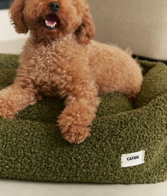 Thumbnail 7: CAFIDE Teddy-Hundebett, Snozy