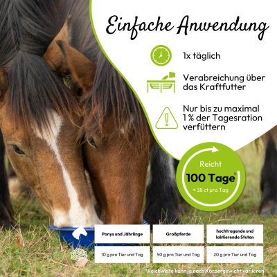 Thumbnail 3: PHA PHA BasisMineralPlus Pellets für Pferde