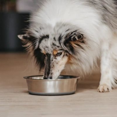 Thumbnail 6: Rudelkönig Edelstahlnapf 2x 900ml Napfset Hundenapf, Futternapf rutschfest