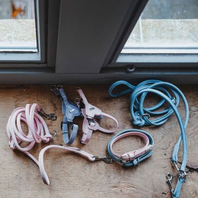 Thumbnail 12: HUNTER Halsband Soho Mini XXS-XS (27), hellblau