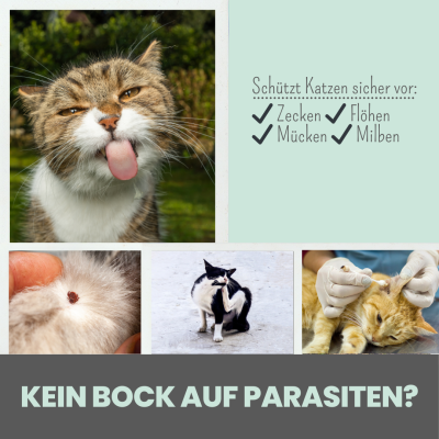 Thumbnail 5: Noms+ Zpot-on für Katzen gegen Zecken, Flöhe, Milben & Mücken