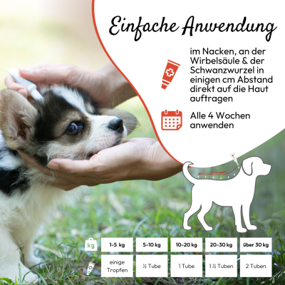 Thumbnail 5: PHA PetVet - PHA Spot-onTropfen für Hunde 2 x 2 ml - Parasitenschutz - zur äußerlichen Anwendung