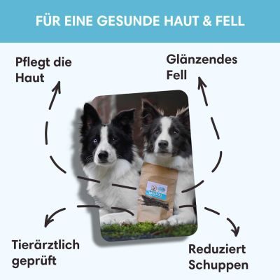 Thumbnail 5: Sollis Hundeleckerli ohne Getreide & unterstützend für gesunde Haut & Fell 80 g
