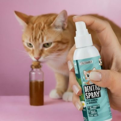 Thumbnail 5: Tierliebhaber Dentalspray für Katzen - Gesunde Zähne & frischer Atem. Mit probiotischen Mikroorganismen gegen Zahnbelag