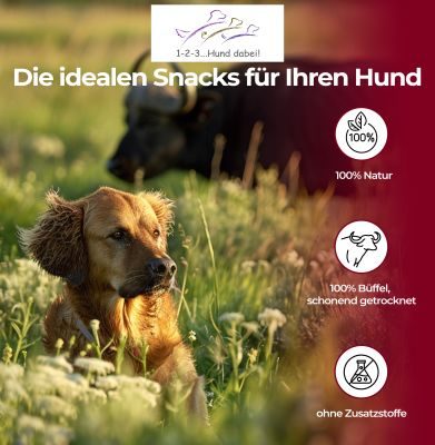 Thumbnail 6: 123… Hund dabei! Büffel-Lunge, Rinderlunge